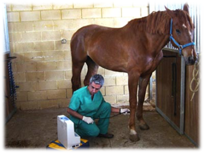 Medicina Veterinaria