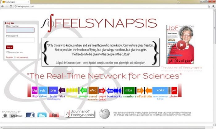 Journal of Feel Synapsis