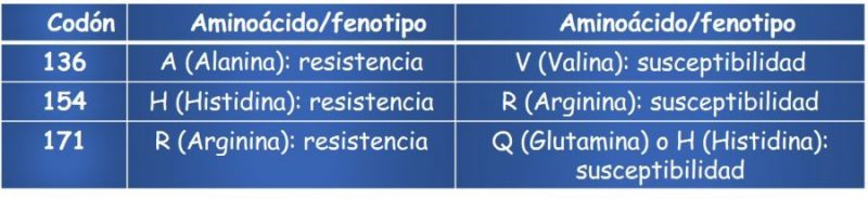 tabla-codones-scrapie1