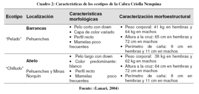 Características de la chiva criolla Argentina Fuente: (Lanari, 2004)