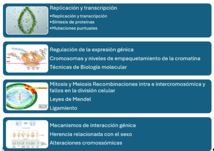 Temas de Clases