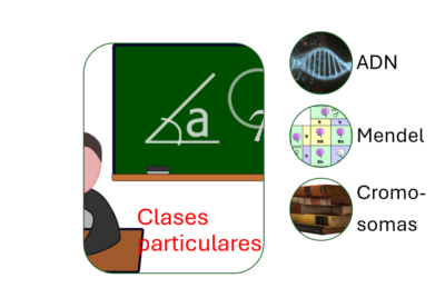 Clases Particulares